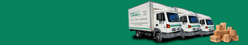 Ens encarreguem que el<br/>teu trasllat sigui una bona<br/>experiència